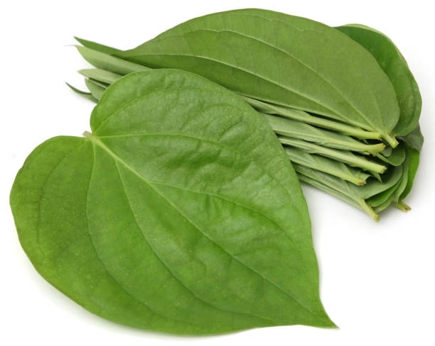Betel leaves Edible Betel leaves  over white background hydroxide stock pictures, royalty-free photos & images