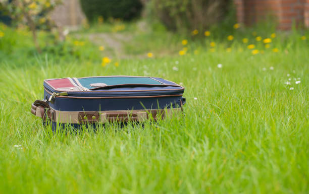 Old travel bag in lush green grass