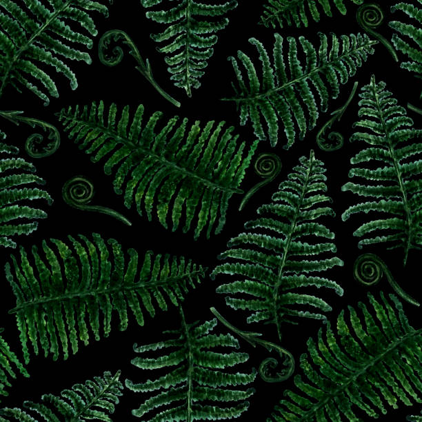 бесшовный акварельный фон с зелеными ветвями папоротника - fern frond leaf illustration and painting stock illustrations