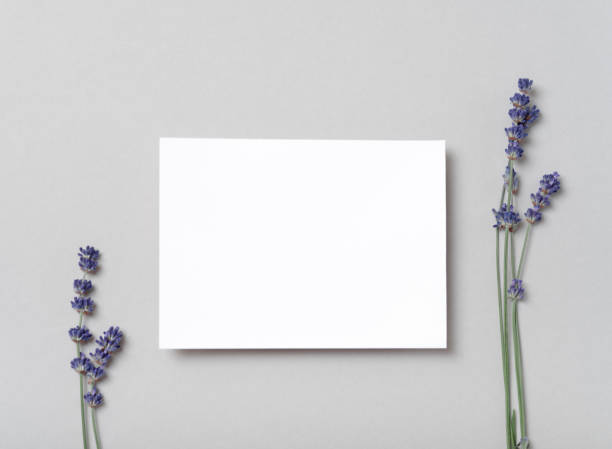 istock Square invitation white greeting card mockup with a a flowers lavender branch 1405699813
