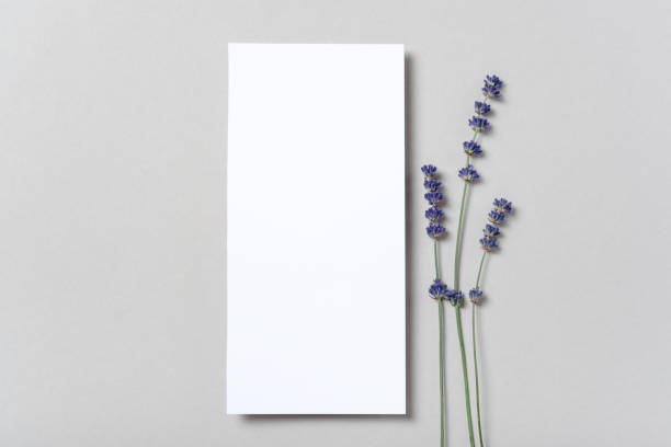 istock Rectangular vertical or square invitation white greeting card mockup with a flowers lavender branch 1405699815