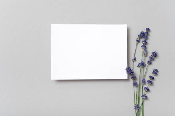 istock Square invitation white greeting card mockup with a a flowers lavender branch 1405699852