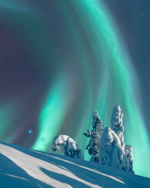 istock Aurora Borealis, Northern Lights, over moonlight winter landscape, spruce trees covered with hoarfrost and snow, Koli National Park, Eastern Finland 1405700180