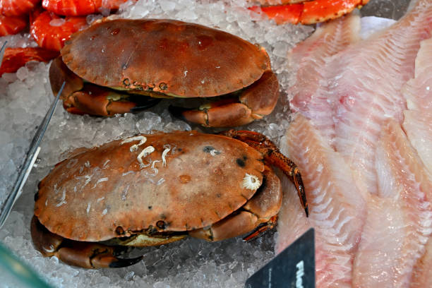 crabs and fish fillets in a fish shop - prepared shellfish tray variation catch of fish imagens e fotografias de stock