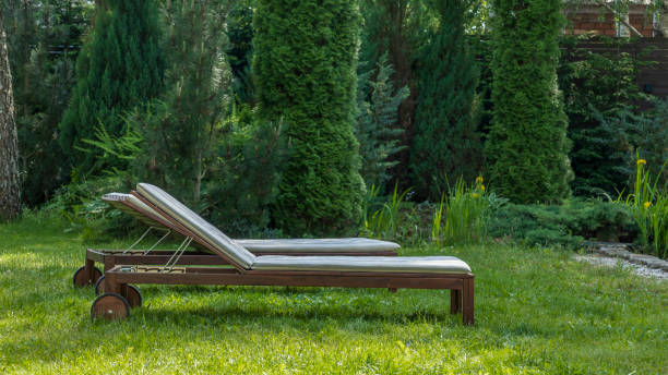 istock Lounge chairs on the backyard in a beautiful garden. Two empty sunbeds on the grass. 1405703310