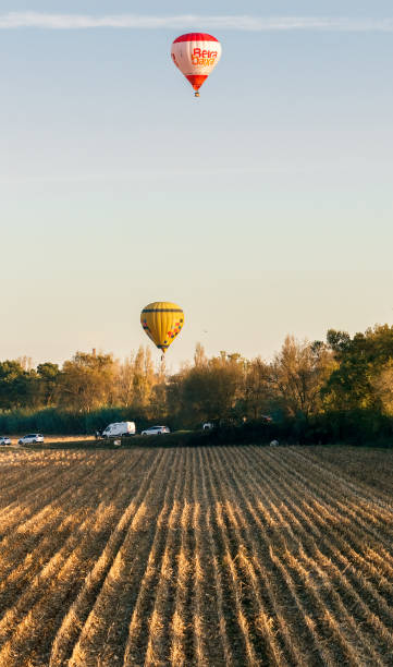 Two hot air balloons flying over agricultural fields, one close to the trees and the other higher, in Coruche, Portugal, during the Ballooning Festival. stock photo