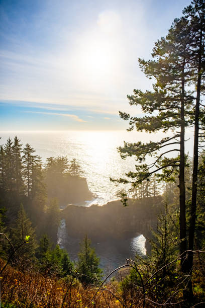 istock Natural Arch in Coastal Cove 1405707098