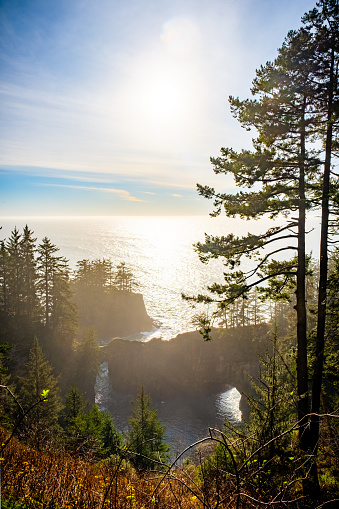 Looking down on a stunning natural arch in a breath taking coastal cove. Tall tress and steep cliffs come together for a breath taking scene of natural beauty. \n\nThe late afternoon light creates bright reflections and dark silhouettes .  \n\nThe image was captured in the Samual H. Boardman State Scenic Corridor in Oregon.