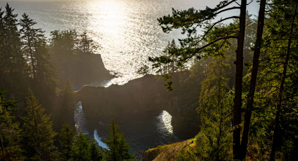 istock Natural Arch in Coastal Cove 1405707141