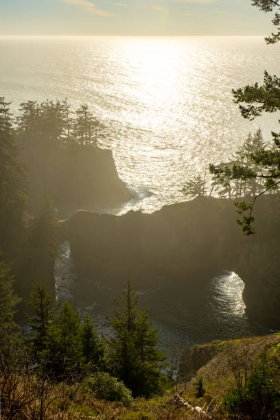 istock Natural Arch in Coastal Cove 1405707668