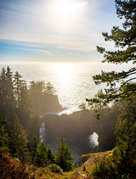 istock Natural Arch in Coastal Cove 1405707675