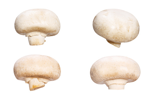 set of natural champignons isolated on white background. High quality photo