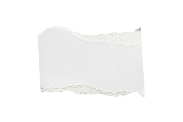 istock White ripped paper torn edges strips isolated on white background 1405709602