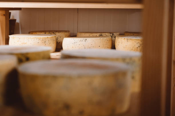 salle de stockage de fromage - manufacturing occupation photos et images de collection
