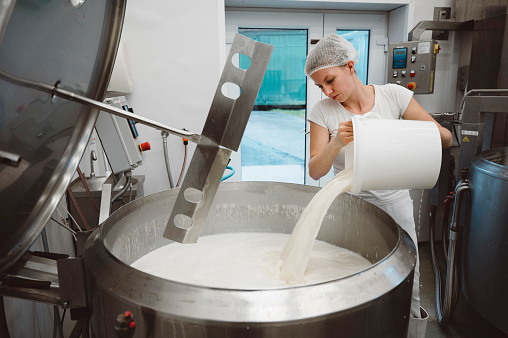 Woman worker pouring milk in a large industrial sized pot at the dairy factory.