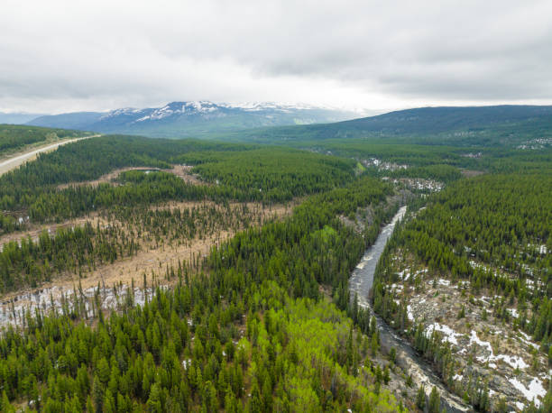 istock View of a Yukon valley in wilderness ，Yukon Canada 1405714962