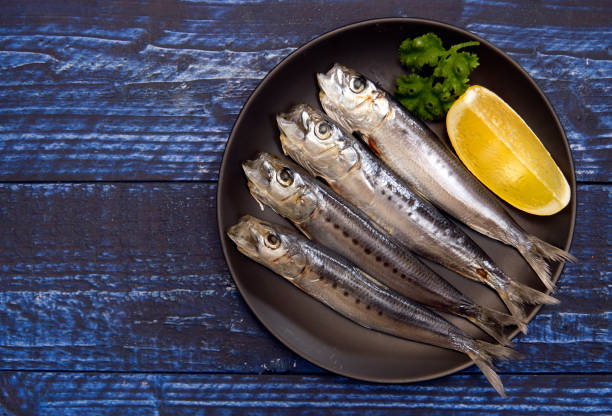 istock Squid that is the ingredient for multiple freshly caught fish dishes on the table 1405716239