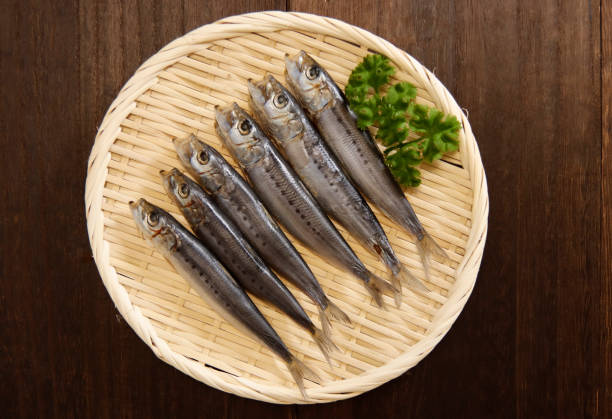 istock Squid that is the ingredient for multiple freshly caught fish dishes on the table 1405717491