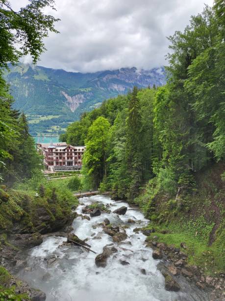 krajobraz wokół wodospadu giessbach. - jungfrau waterfall tree nature zdjęcia i obrazy z banku zdjęć