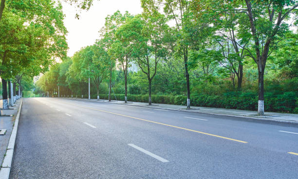 Straight asphalt road with trees on both sides