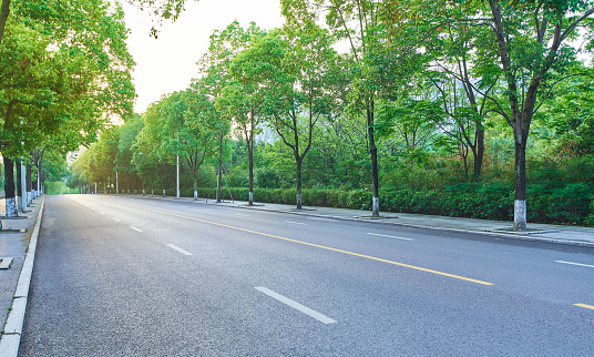 Straight asphalt road with trees on both sides