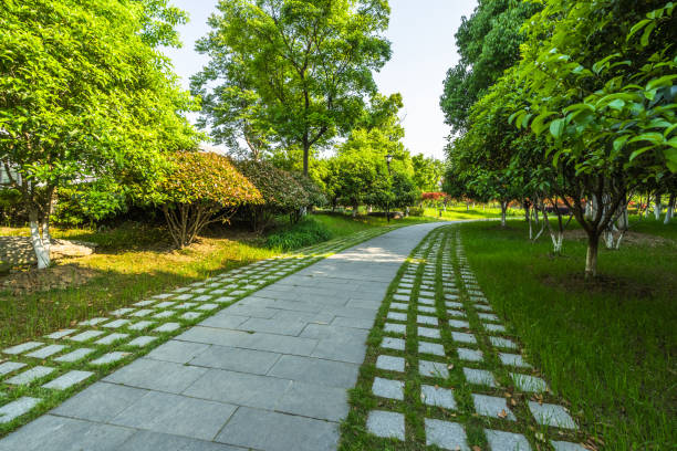 istock Road with trees in beautiful garden. 1405722343