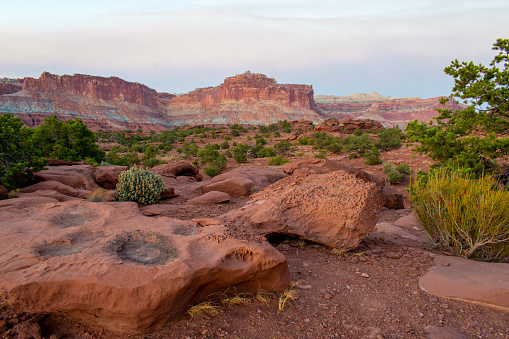 A Walk Through Capitol Reef National Park