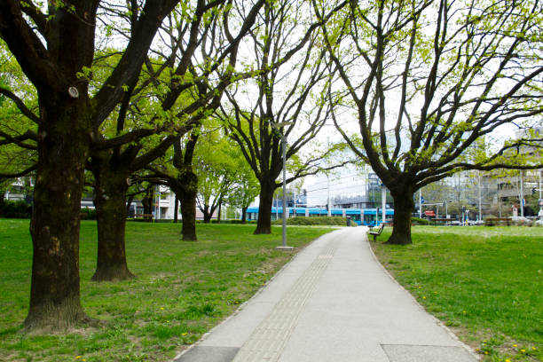 istock Green Corridor Clear Passage Springtime Downtown Outdoors Financial District Capital City Croatian Culture Zagreb Cityscape Europe 1405724356