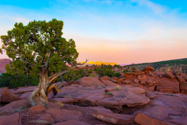 istock Scenic Sunset in the Southwestern US Desert 1405724922