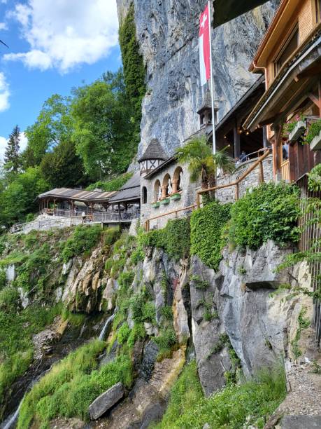 krajobraz wokół jaskini św. beatusa na brzegu jeziora thun. - jungfrau waterfall tree nature zdjęcia i obrazy z banku zdjęć