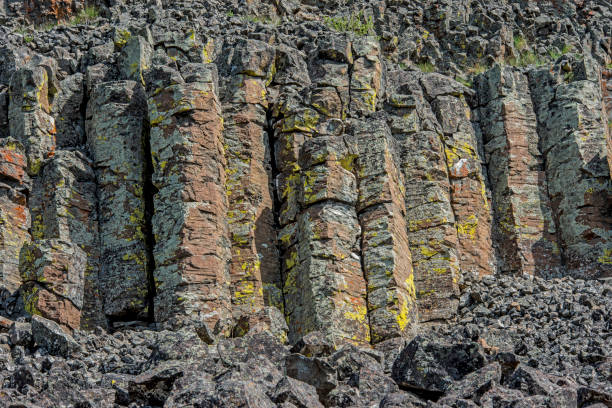 istock Columnar basalt rock at Sheepeater Cliffs in Yellowstone National Park, Wyoming. Lichen covered rock. 1405728507