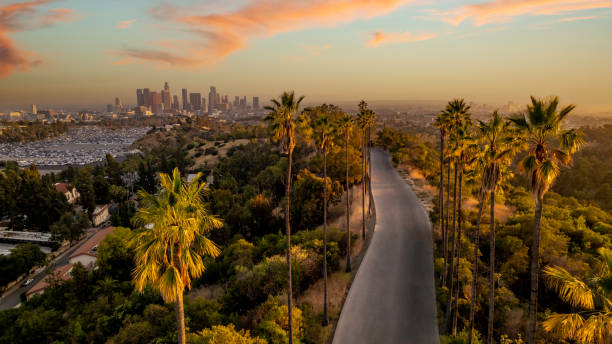 브룩할로우 로스앤젤레스 해질녘까지 - los angeles county city of los angeles palm tree travel destinations 뉴스 사진 이미지