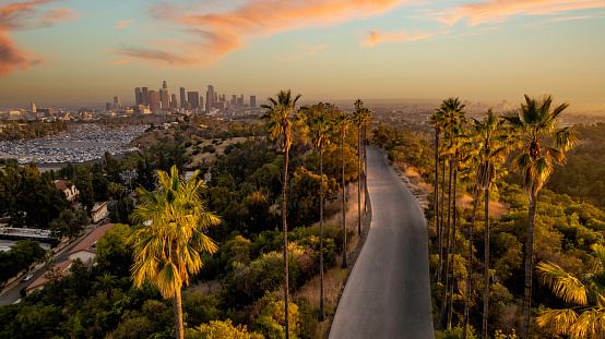 High quality aerial stock photo of downtown Los Angeles from Angels Point Road, near Dodger Stadium.