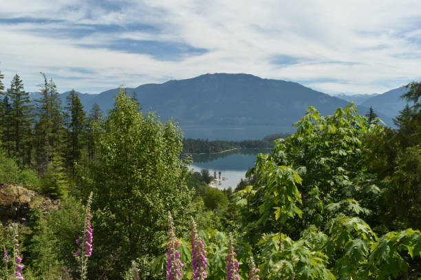 istock Kayaking and camping at Harrison Lake, BC 1405731654