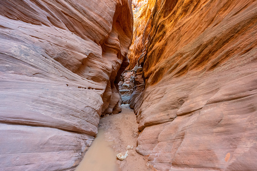 View along a hike inside Buckskin Gulch, the worlds deepest slot canyon. Located in-between the cities of Page and Kanab on the Utah, Arizona border in the southwest USA.