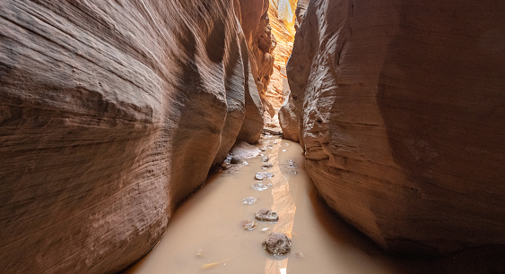 View along a hike inside Buckskin Gulch, the worlds deepest slot canyon. Located in-between the cities of Page and Kanab on the Utah, Arizona border in the southwest USA.
