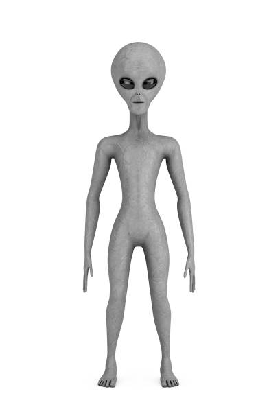 Scary Gray Humanoid Alien. 3d Rendering Scary Gray Humanoid Alien on a white background. 3d Rendering alien grey stock pictures, royalty-free photos & images