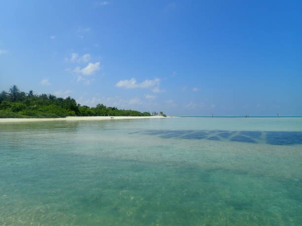 istock Dhiffushi Island in Maldives 1405734501