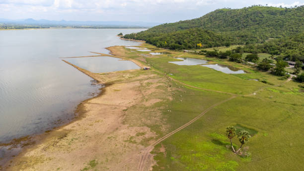 istock Duble palm tree in aerial view from done over inside Pasak Chonlasit dam with green grass and lake 1405734867