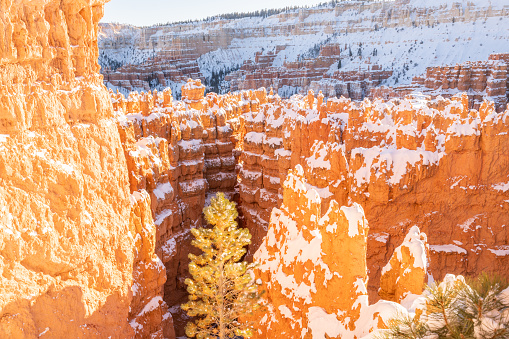 Bryce Canyon National Park