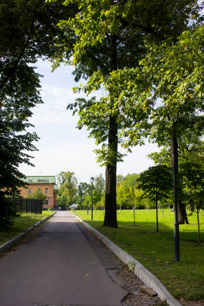 istock sandy alley in the park 1405747758