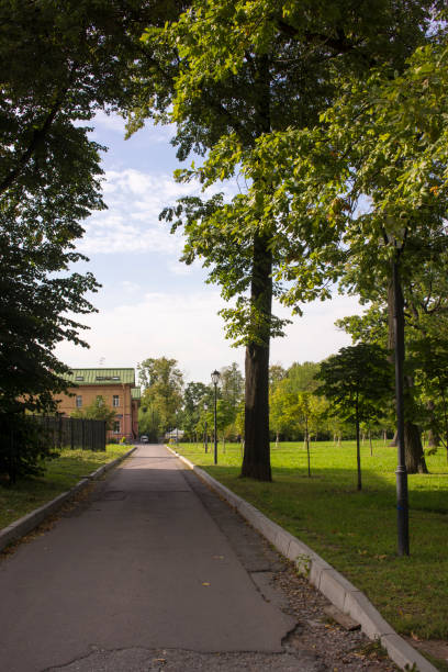 istock sandy alley in the park 1405748068