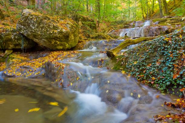 istock beautiful autumn river in a mountains 1405748087
