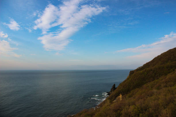 Low angle view of small wild white flowers against blue sea and sky at spring time.