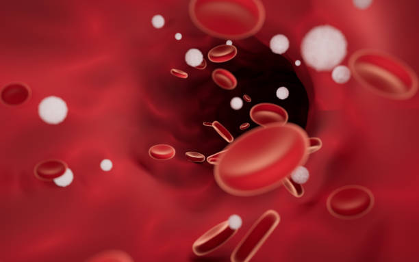 Hematology Cells Stock Photos, Pictures & Royalty-Free Images - iStock