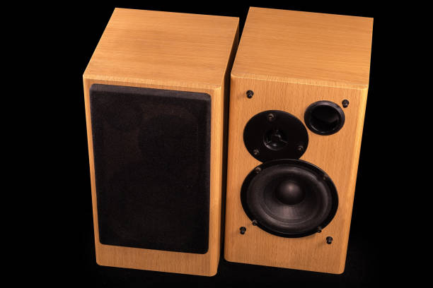 istock Pair of home two-way loudspeaker system on black background 1405755027
