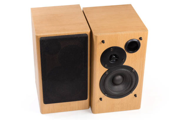 istock Pair of home two-way loudspeaker system on white background 1405755125