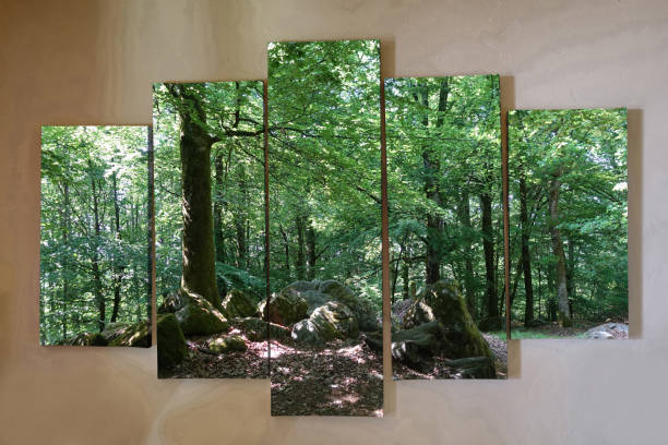 pinturas polípticas decoración de interiores de un apartamento bosque en primavera en la creuse francia - split screen fotografías e imágenes de stock