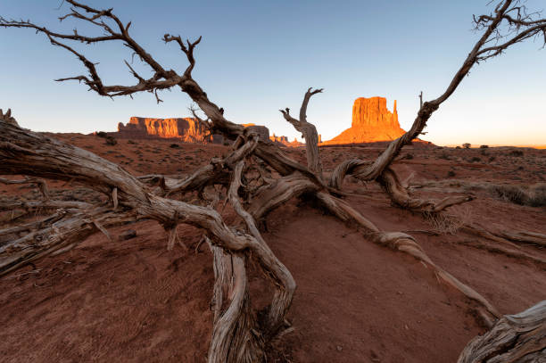 istock Monument Valley National Park, Arizona during sunrise 1405758836