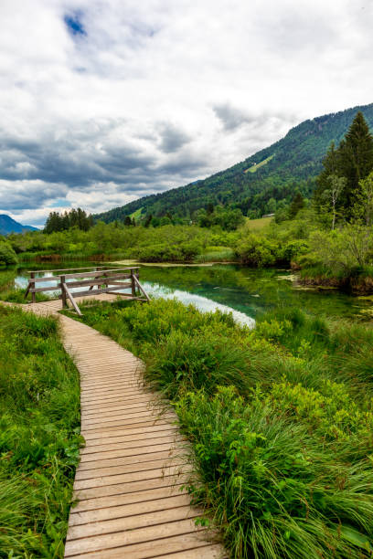 istock Discovery Tour through the Beautiful Nature Reserve Zelenci 1405759230